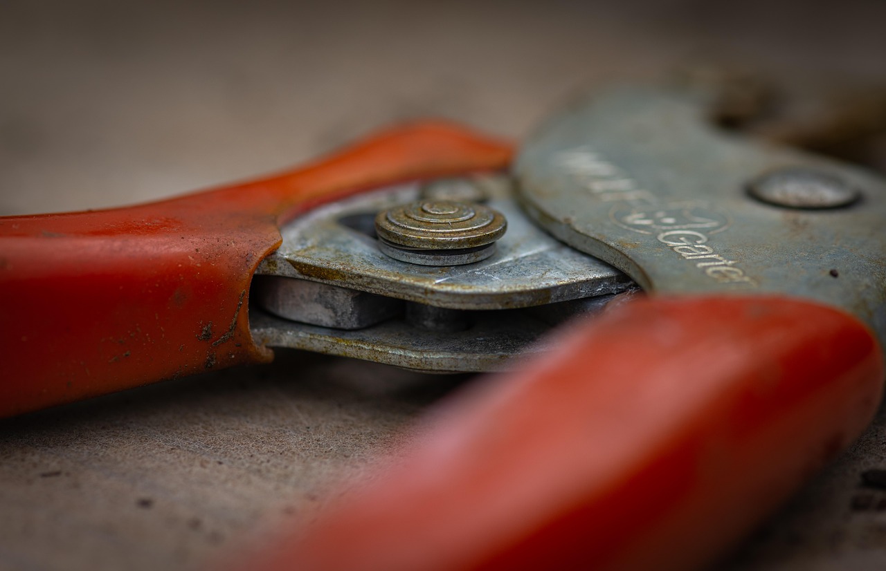 Outils de jardinage anciens sur un établi